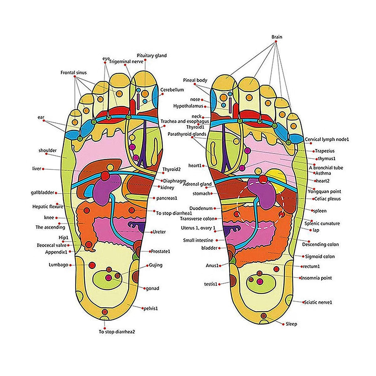 Acupressure Yoga Slippers | Foot Care & Self-Care